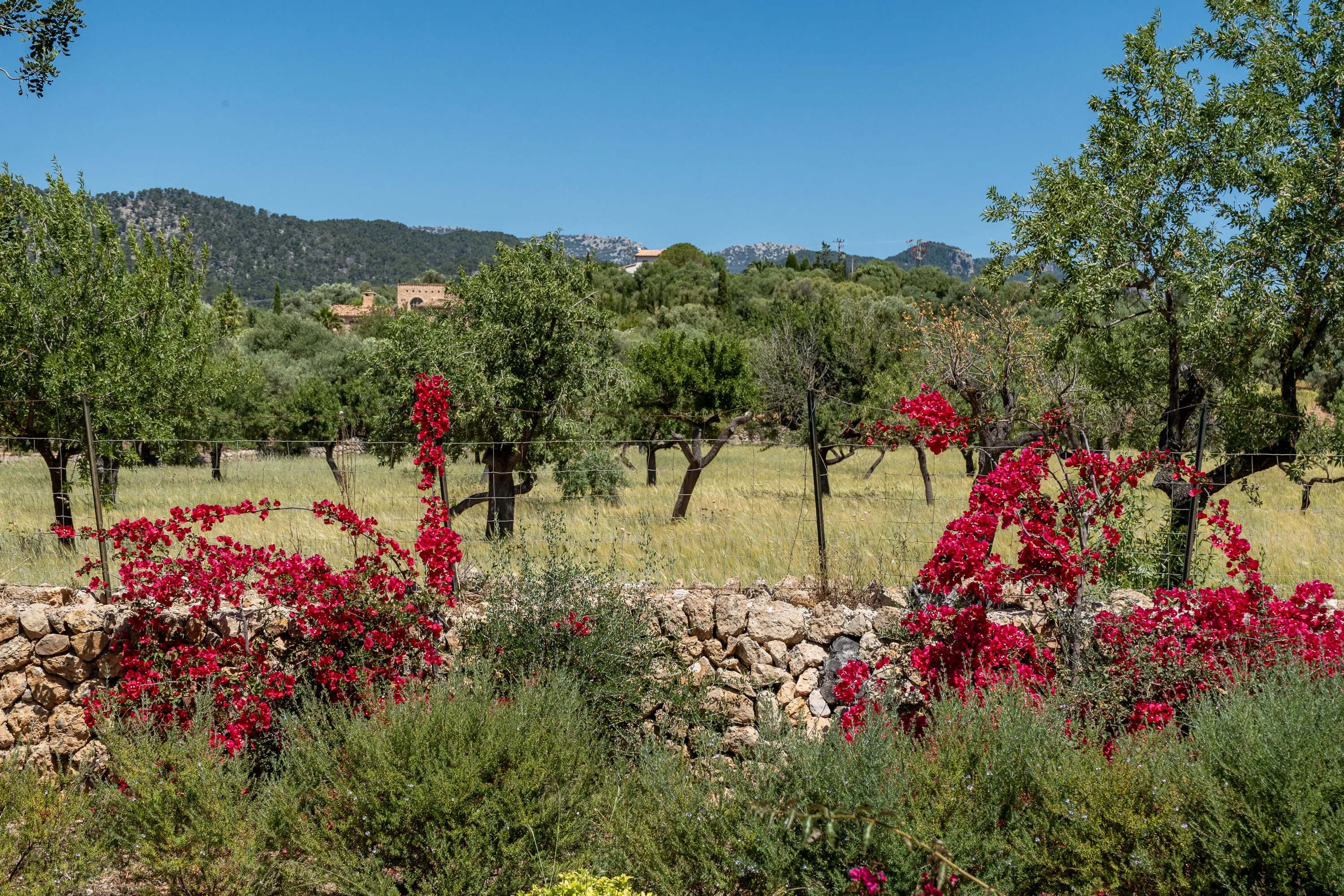 Outstanding new built finca in prime location in Alaro-4