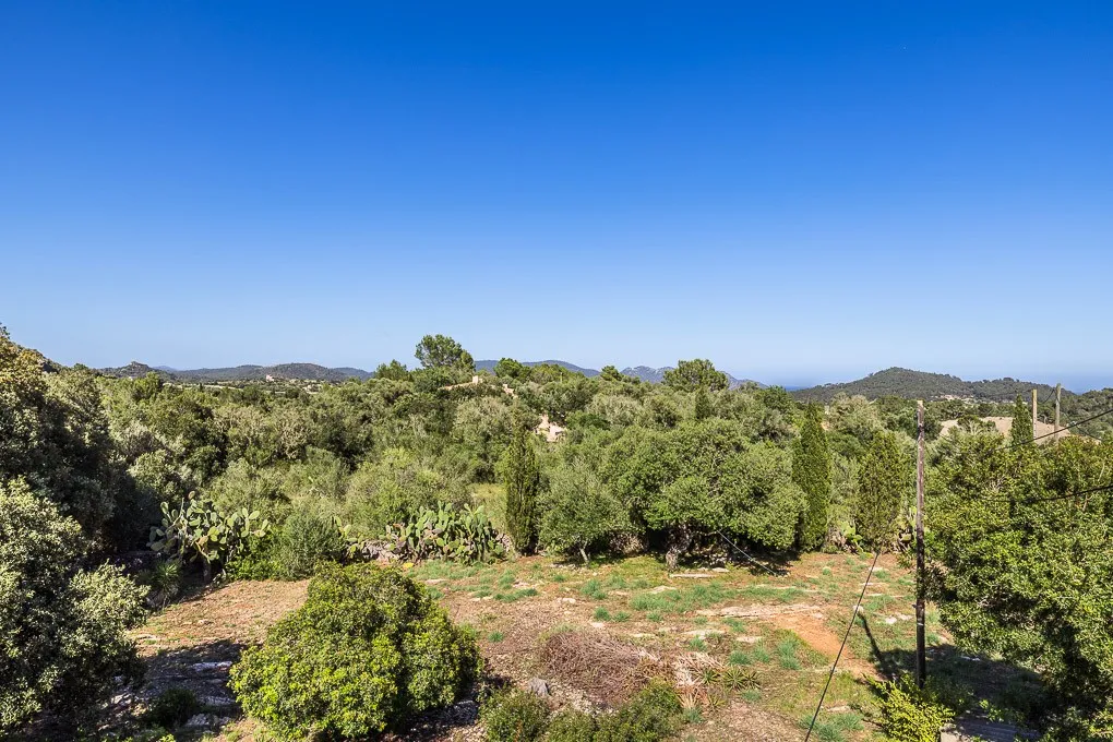 Historisk finca med to boligenheder-13