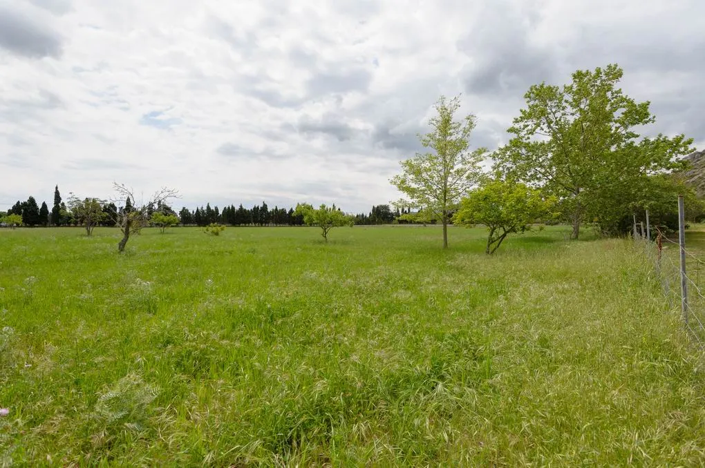 Prachtig landgoed te koop vlakbij Pollensa-13