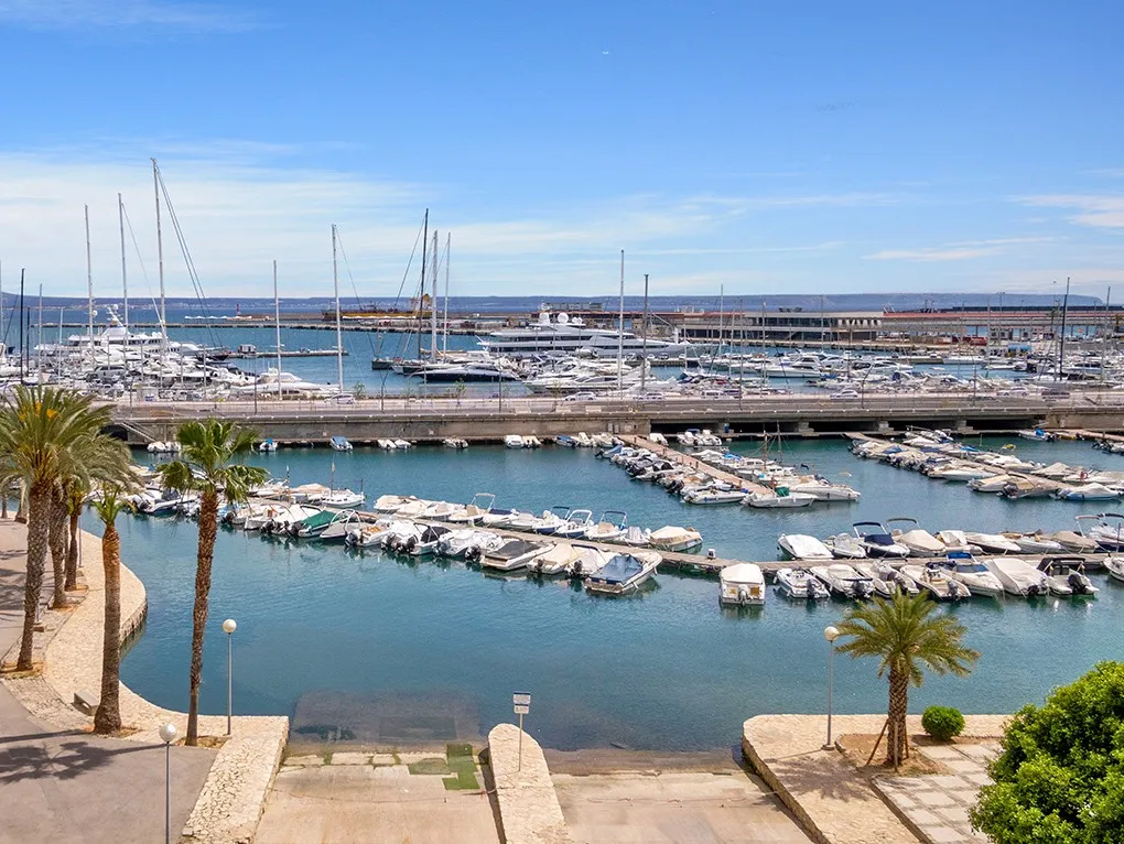 Preuós àtic a Palma - Can Barbara-2