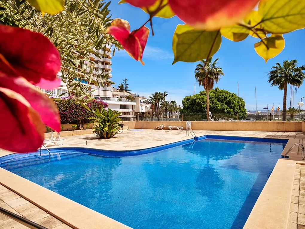 Preuós àtic a Palma - Can Barbara-21