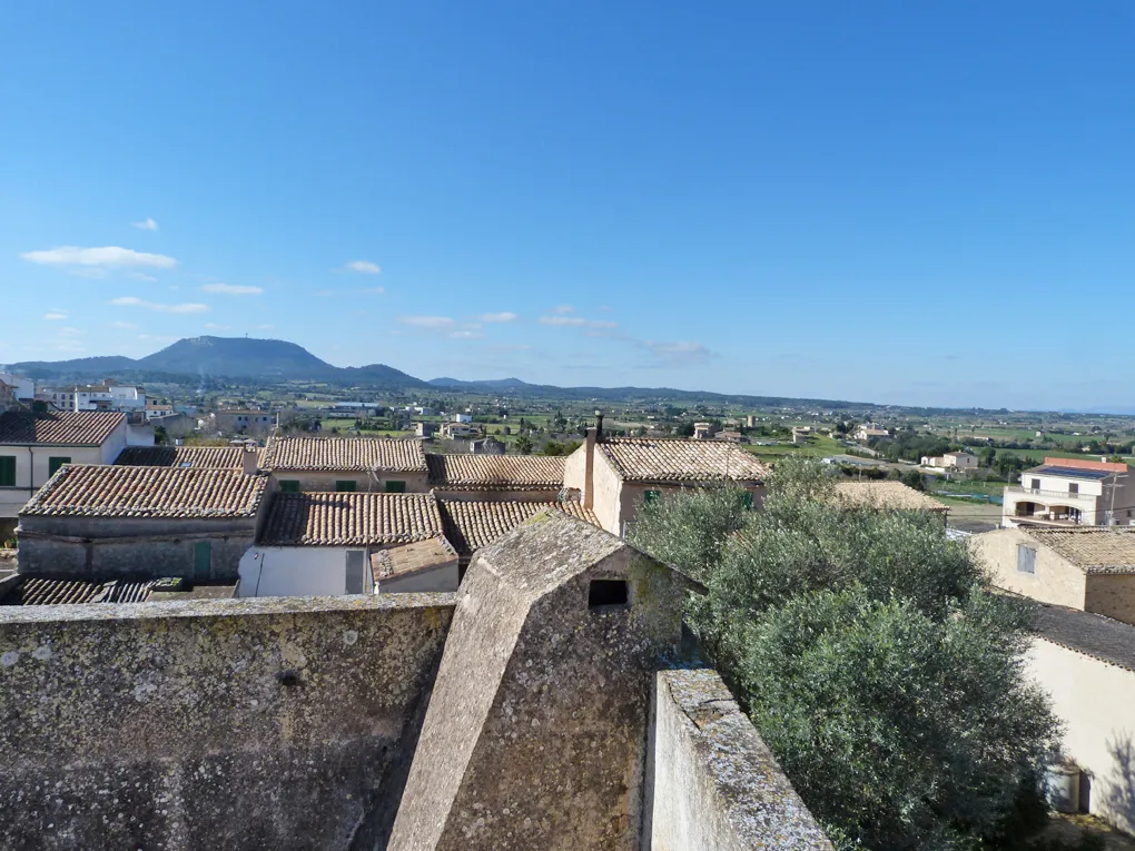 Fantastisk byhus med renoveringsprojekt-1