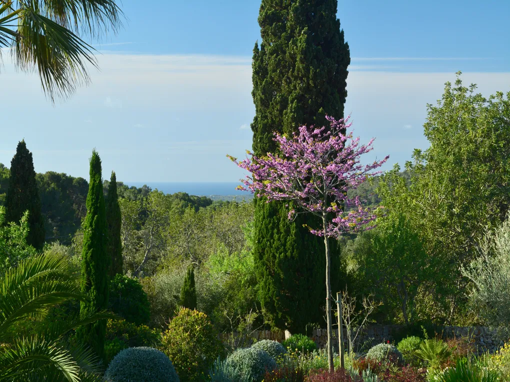 Modern wohnen mit historischem Mühlturm und Meerblick-22