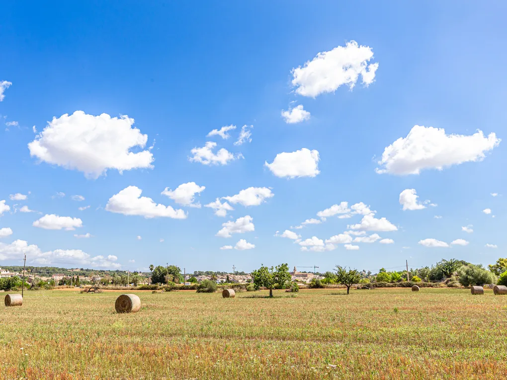 Landhotel med potentiale for udvidelse-20