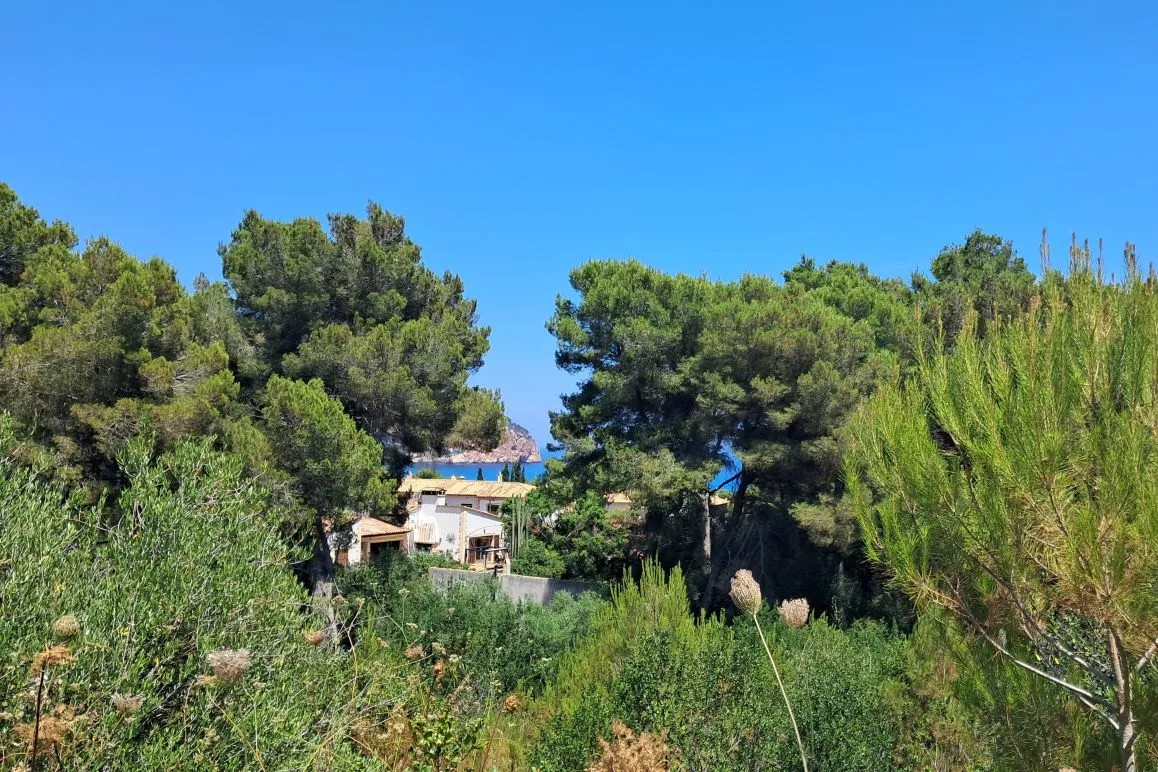 Parcel·la a Canyamel amb vistes al mar i plans de projecte-2