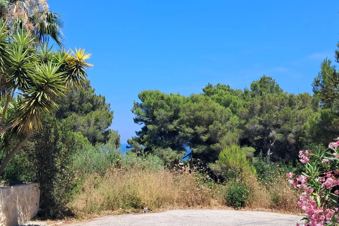 Parcel·la a Canyamel amb vistes al mar i plans de projecte-1