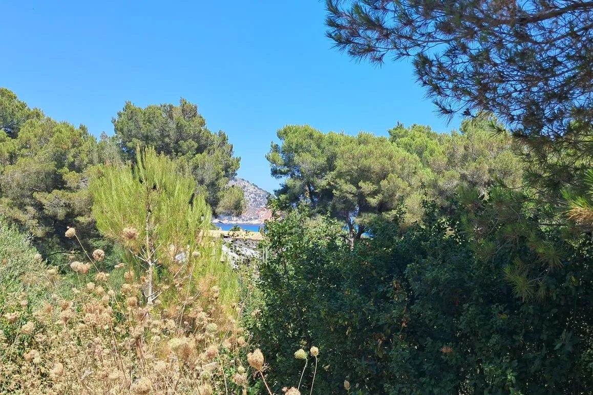 Parcel·la a Canyamel amb vistes al mar i plans de projecte-4