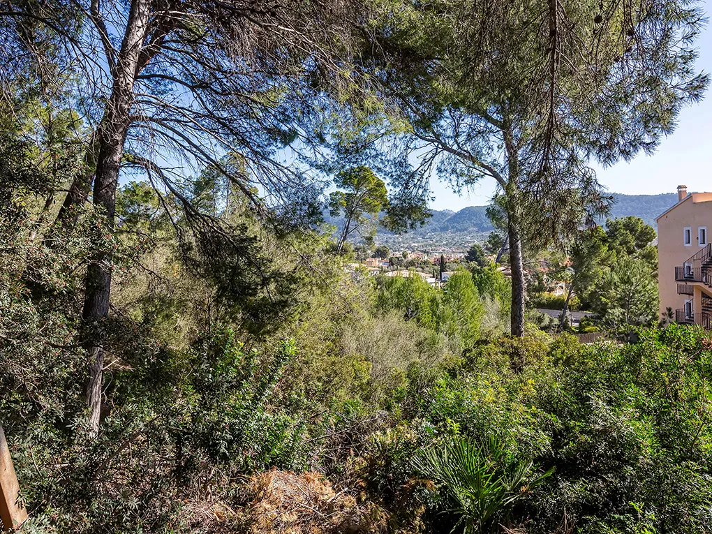 Construction plot in walking distance to the port-6