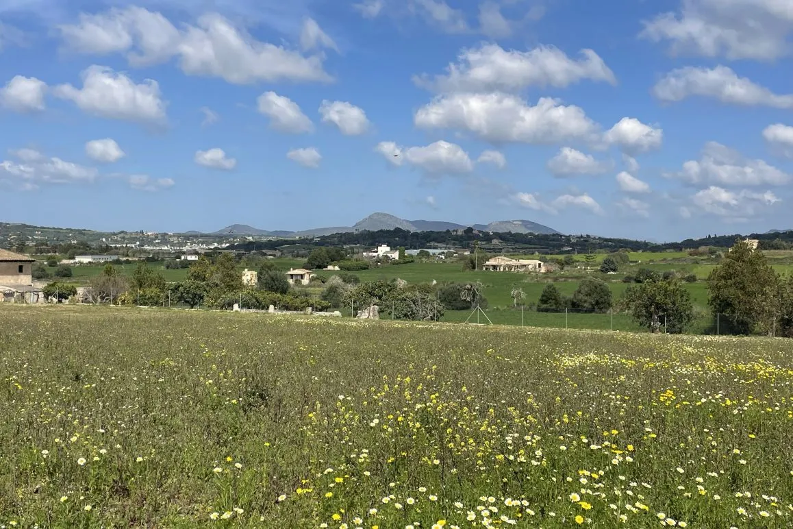 Parcela edificable con proyecto de finca aprobado y vistas al paisaje-5