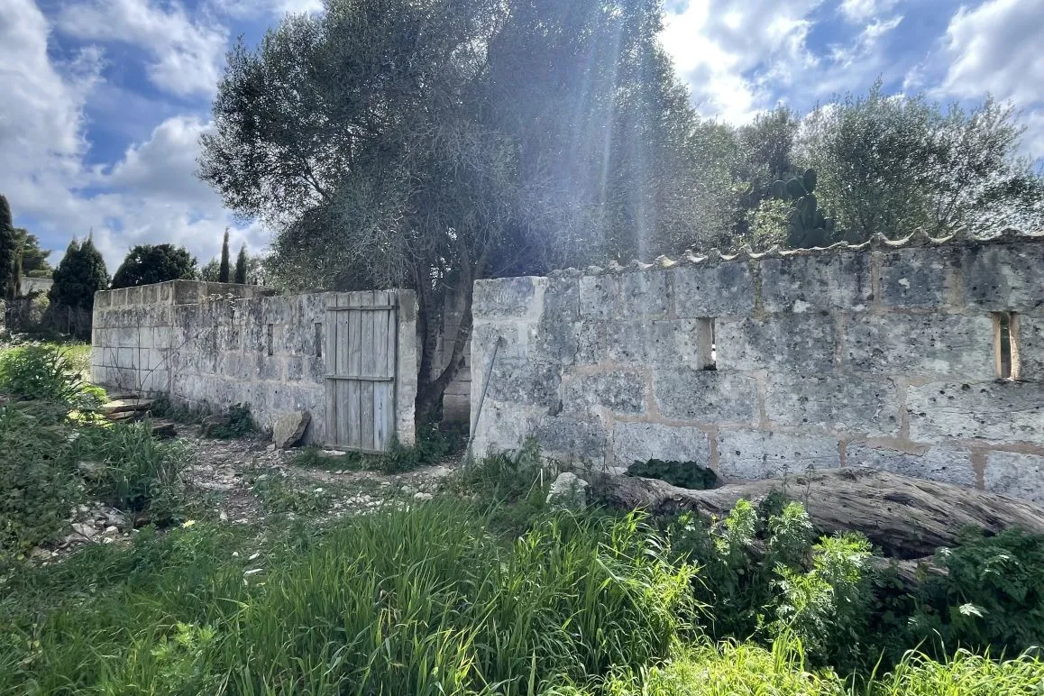 Parcela edificable con proyecto de finca aprobado y vistas al paisaje-6