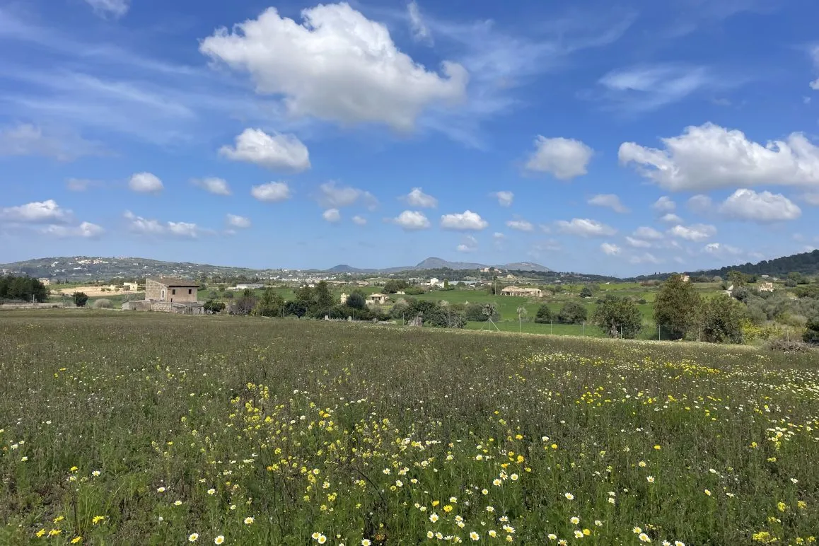 Bouwperceel met goedgekeurd finca project en uitzicht op het platteland-1