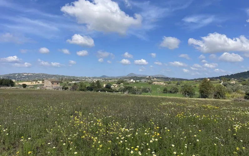 Bouwperceel met goedgekeurd finca project en uitzicht op het platteland
