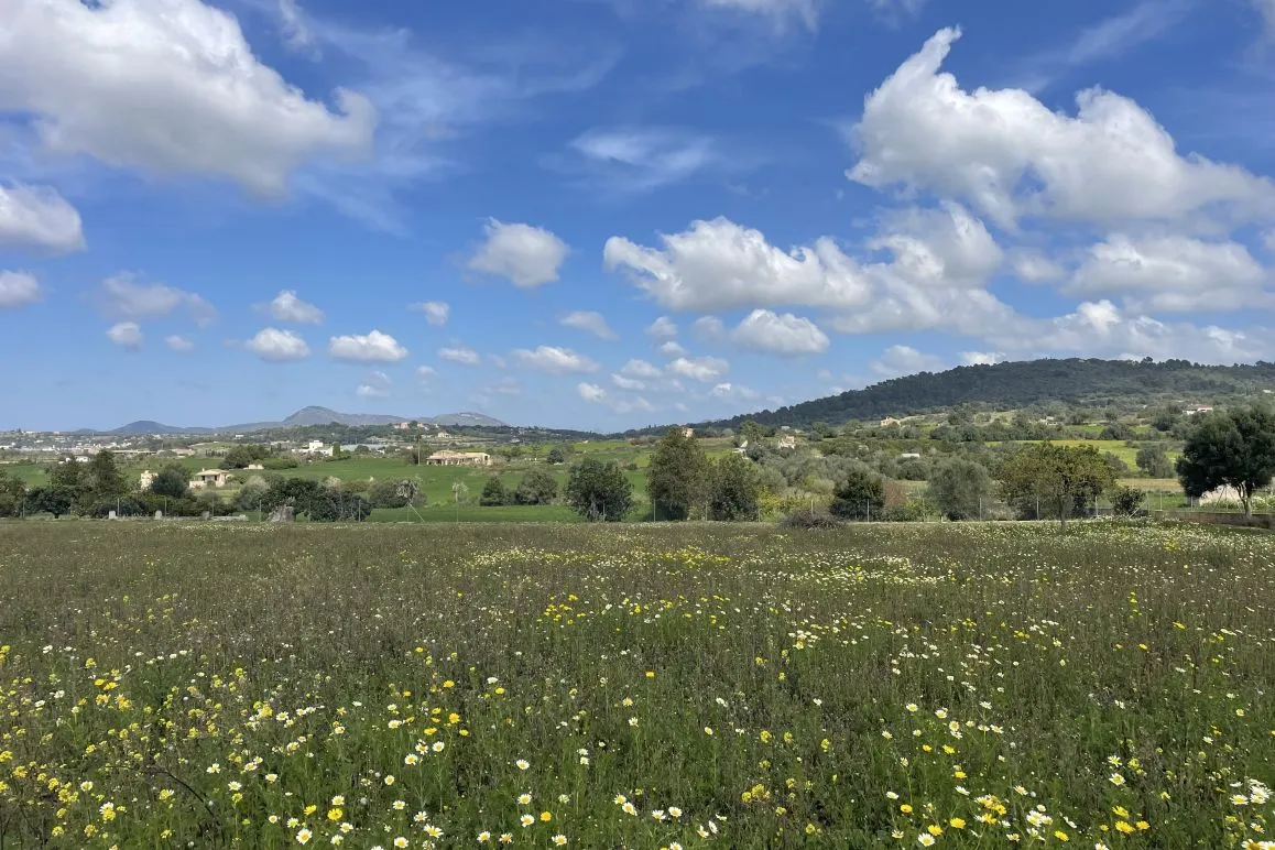Bouwperceel met goedgekeurd finca project en uitzicht op het platteland-7