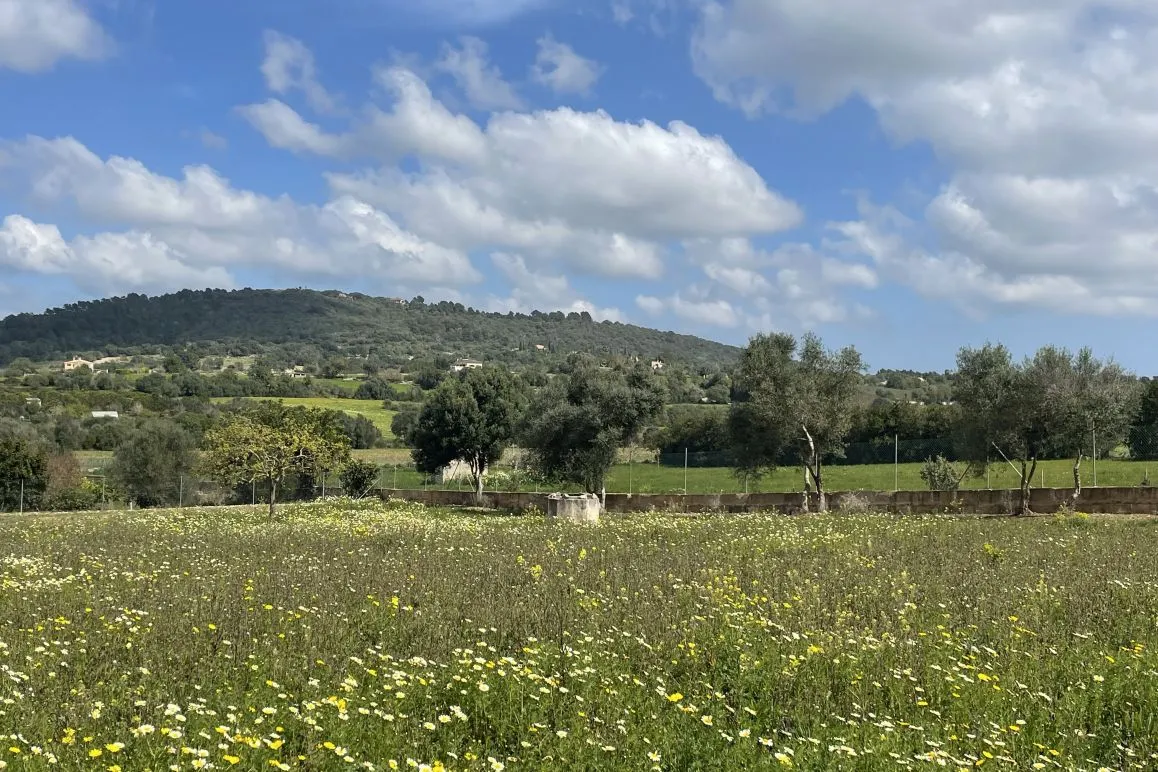 Parcela edificable con proyecto de finca aprobado y vistas al paisaje-2
