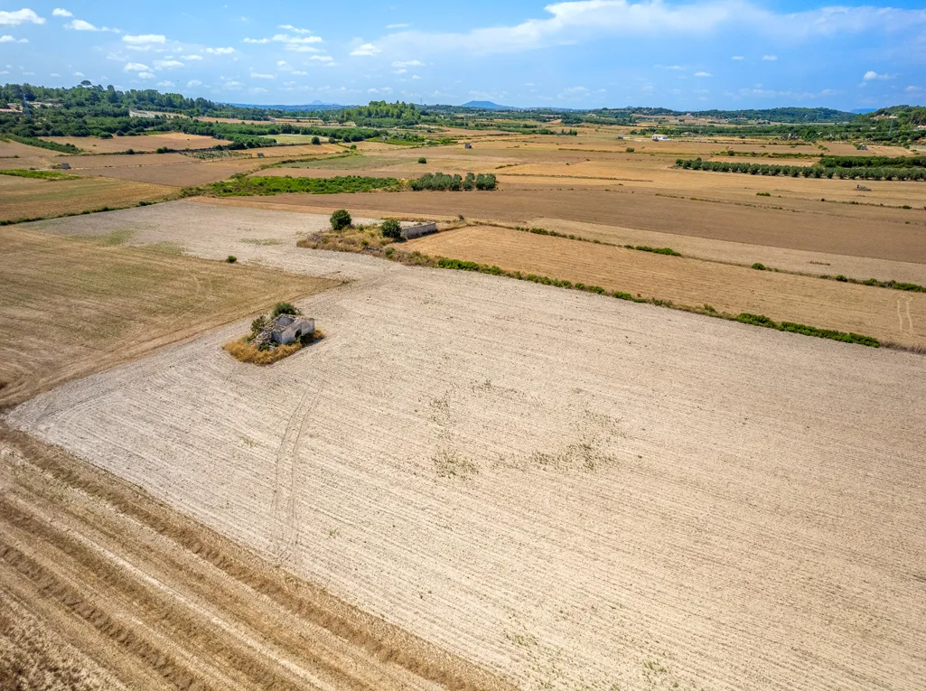 Prachtig perceel op een prachtige en privélocatie te koop, Muro-6