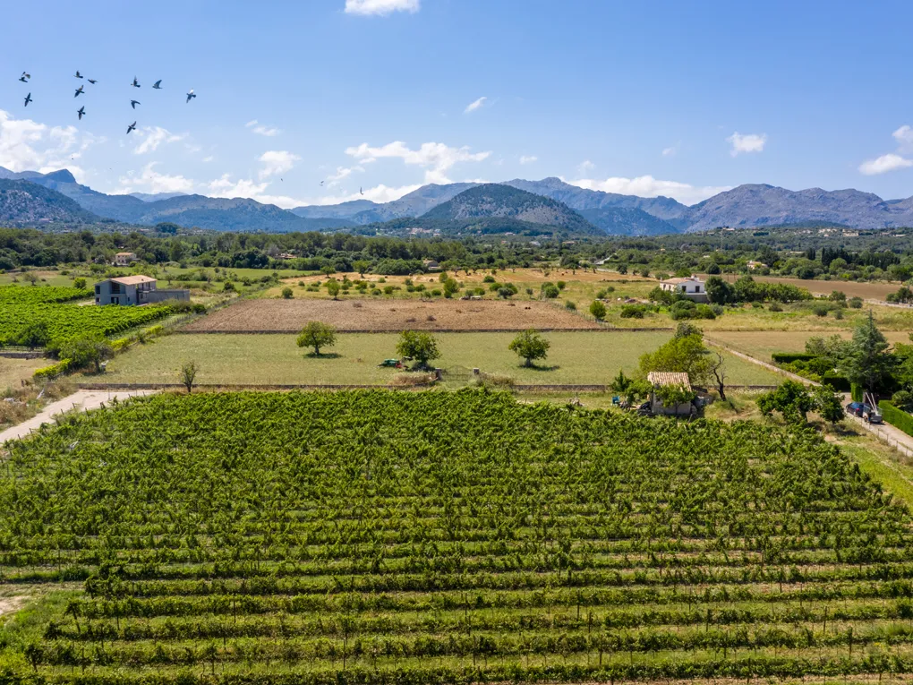 Lujosa finca con piscina · Alcúdia-3