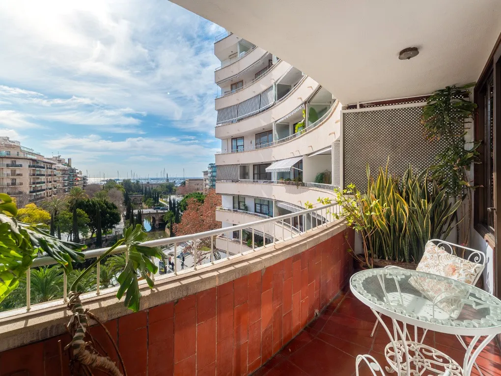 Licht appartement met terras, uitzicht op de haven en potentieel-1