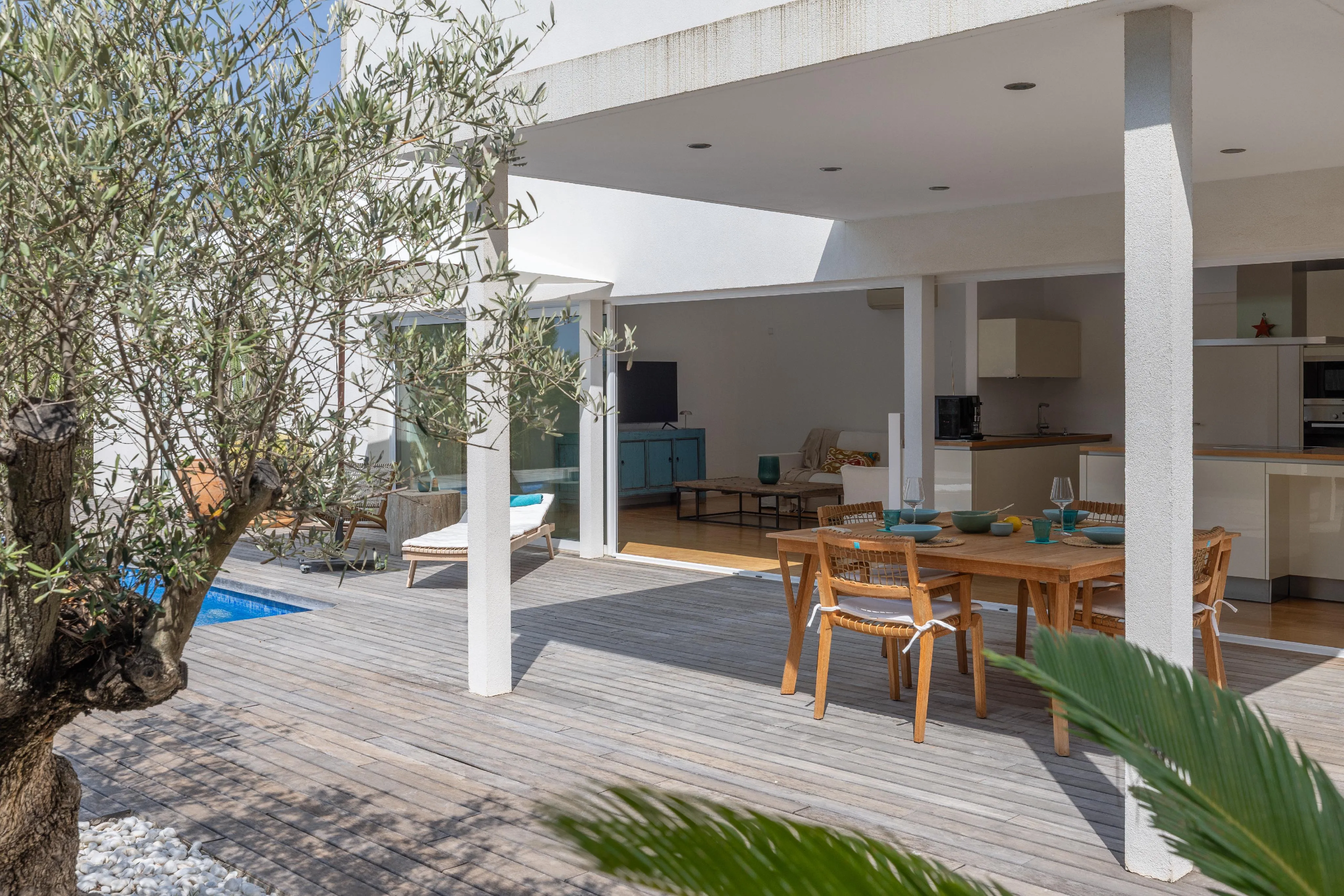 Modern villa with contemporary design and big plot-2