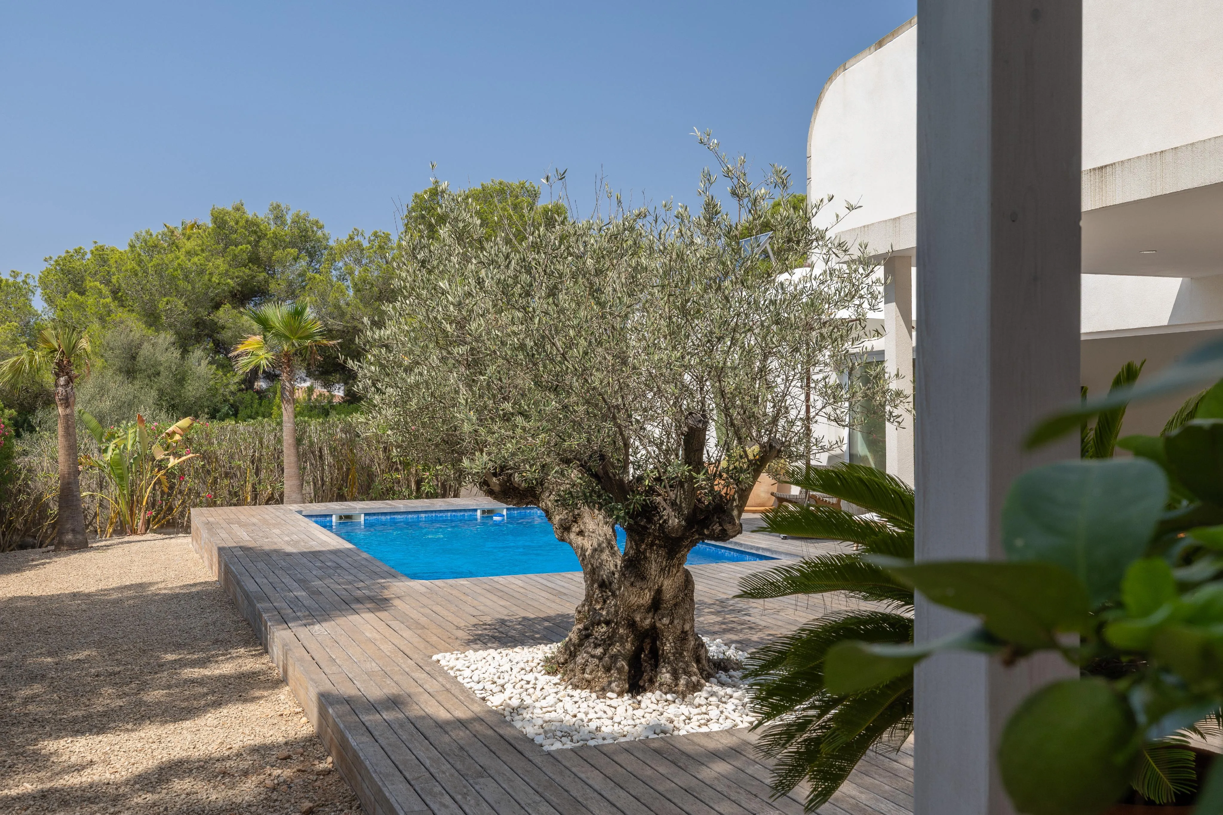 Modern villa with contemporary design and big plot-3