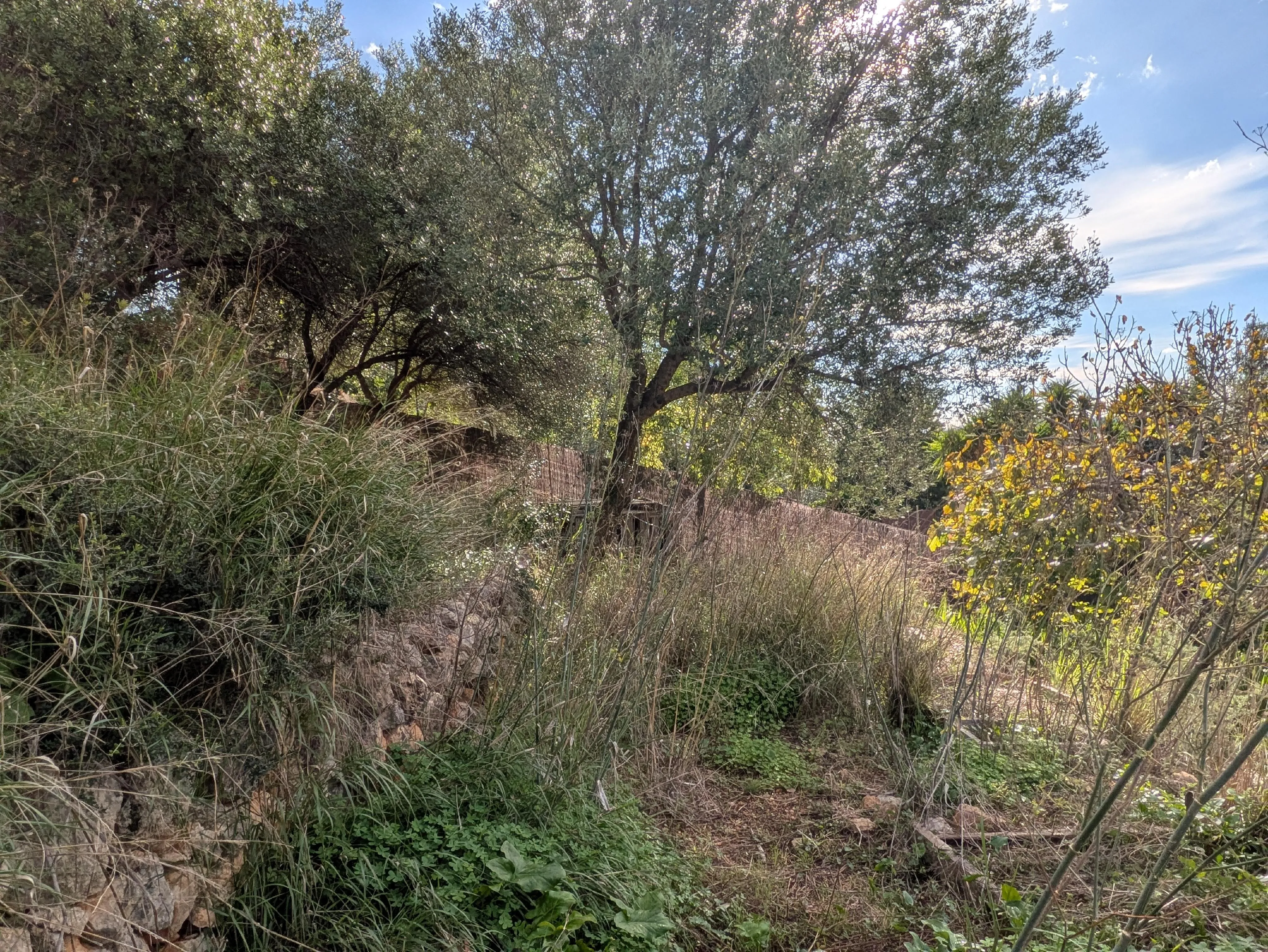 Участок под застройку с прекрасными видами в престижном районе Аларо-3