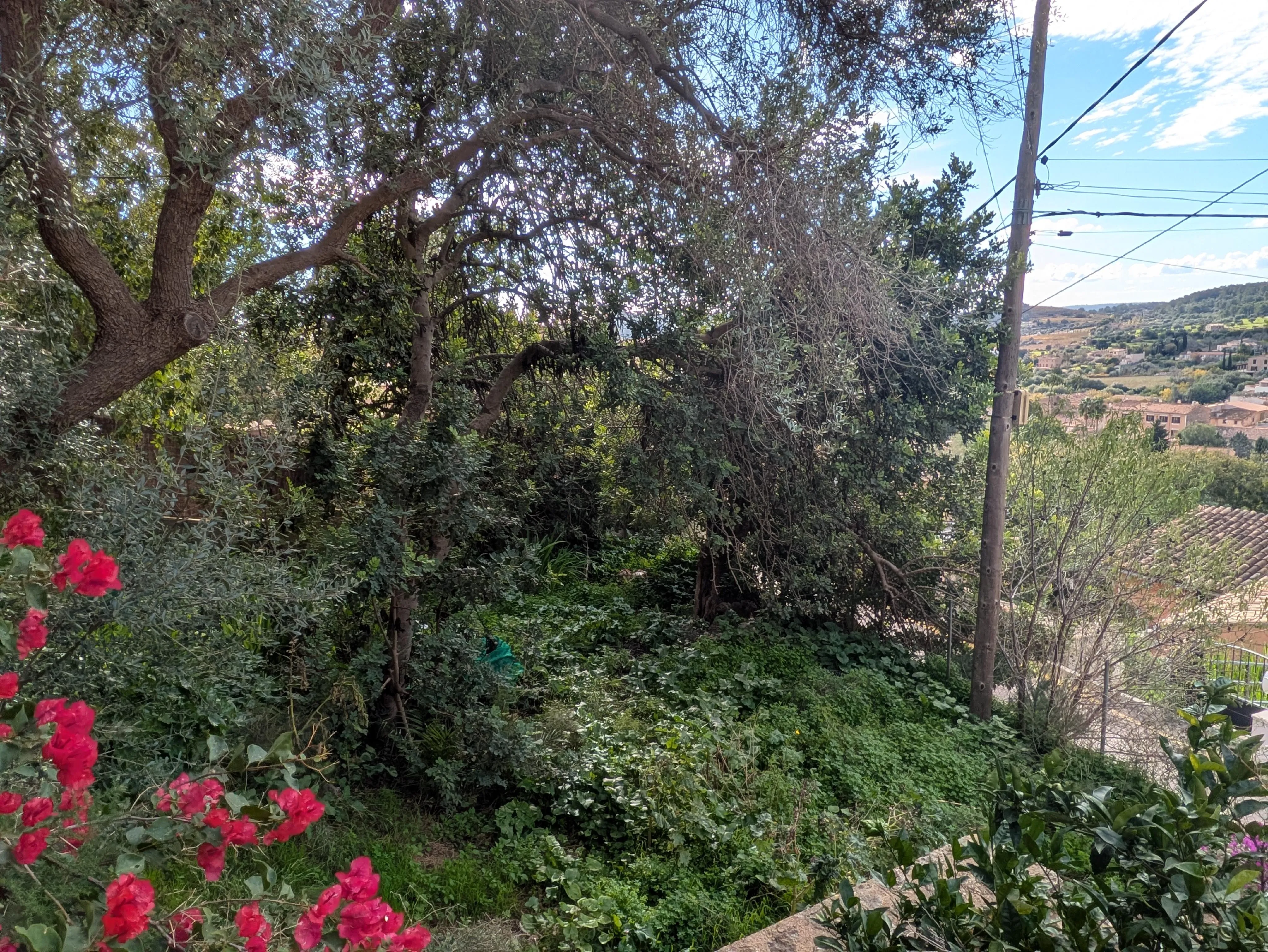 Byggegrund med fantastisk udsigt i førsteklasses beliggenhed i Alaró-4