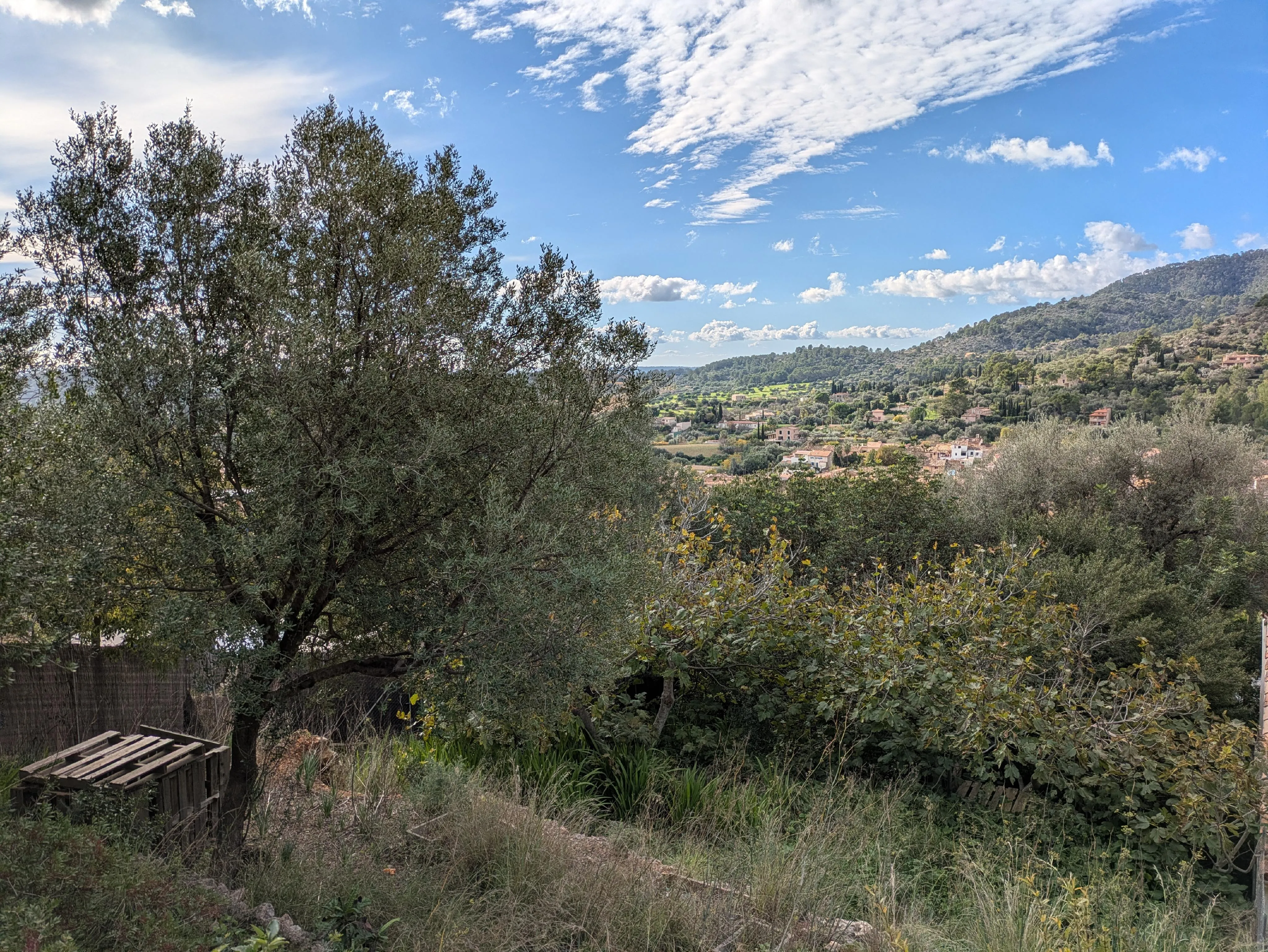 Byggegrund med fantastisk udsigt i førsteklasses beliggenhed i Alaró-2