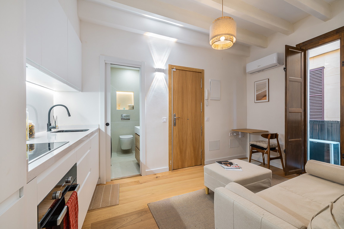 Duplex penthouse with separate guest apartment in a pedestrian zone-16