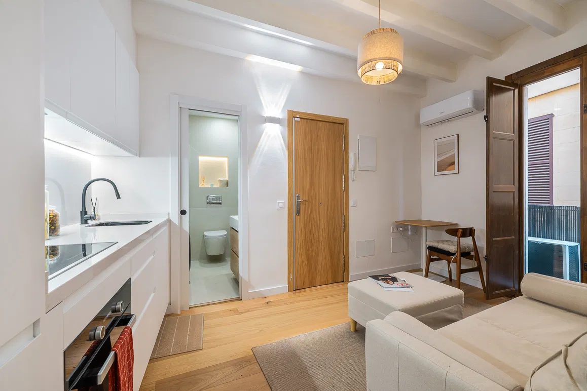 Duplex penthouse with separate guest apartment in a pedestrian zone-16