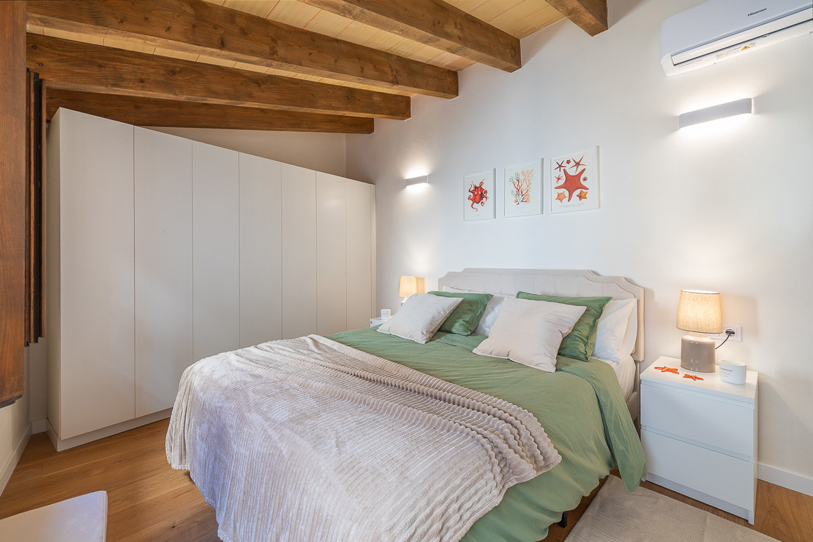 Duplex penthouse with separate guest apartment in a pedestrian zone-13