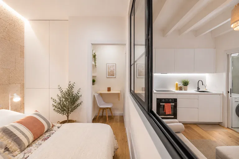 Duplex penthouse with separate guest apartment in a pedestrian zone-18