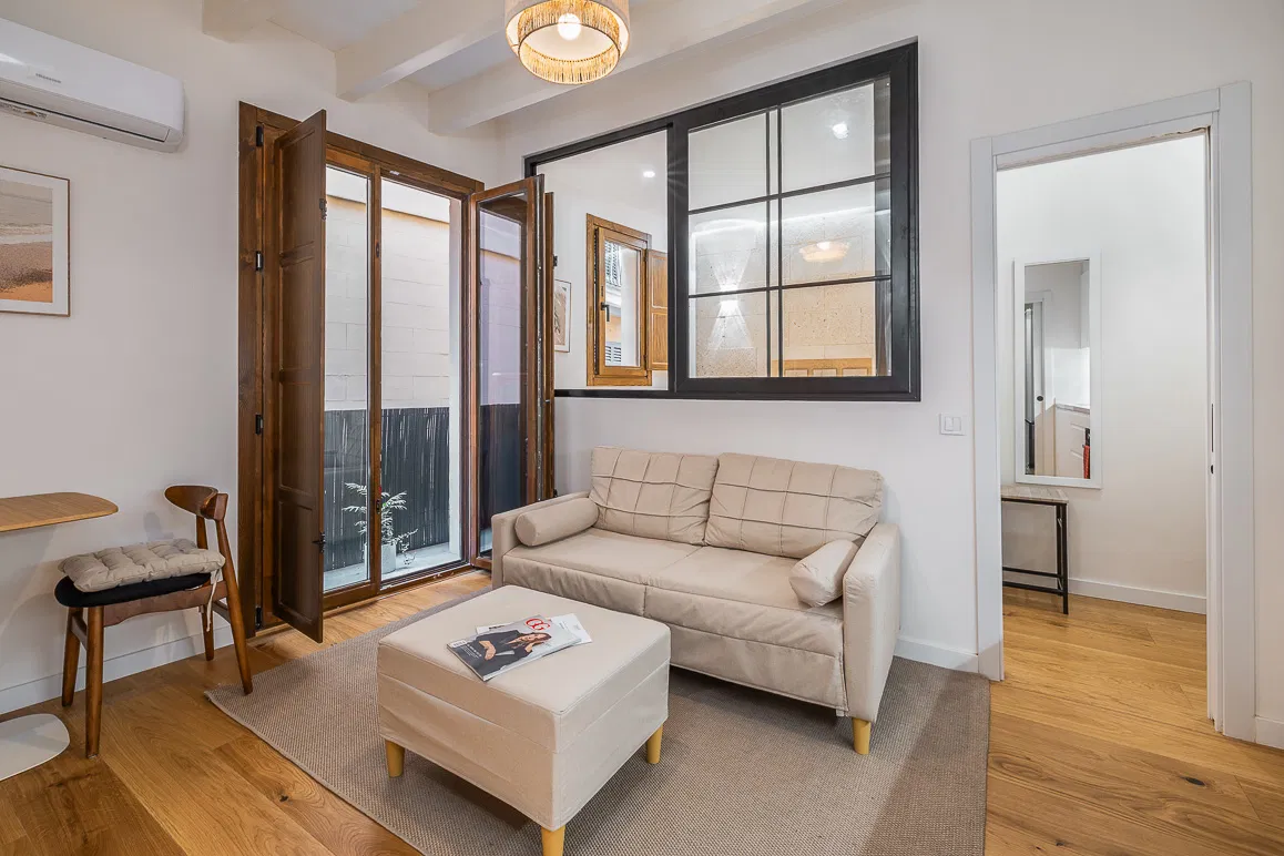 Duplex penthouse with separate guest apartment in a pedestrian zone-15