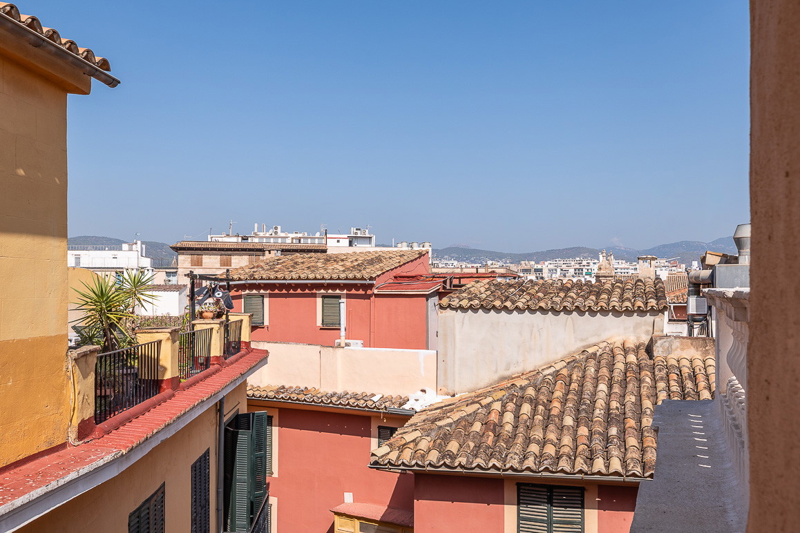 Duplex penthouse with separate guest apartment in a pedestrian zone-8