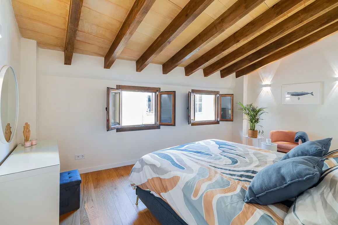 Duplex penthouse with separate guest apartment in a pedestrian zone-9
