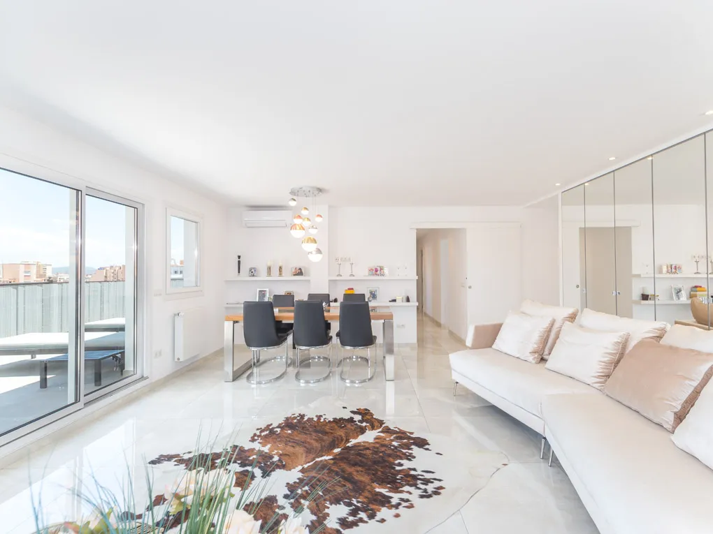 Uitzonderlijk penthouse met indrukwekkend terras-5