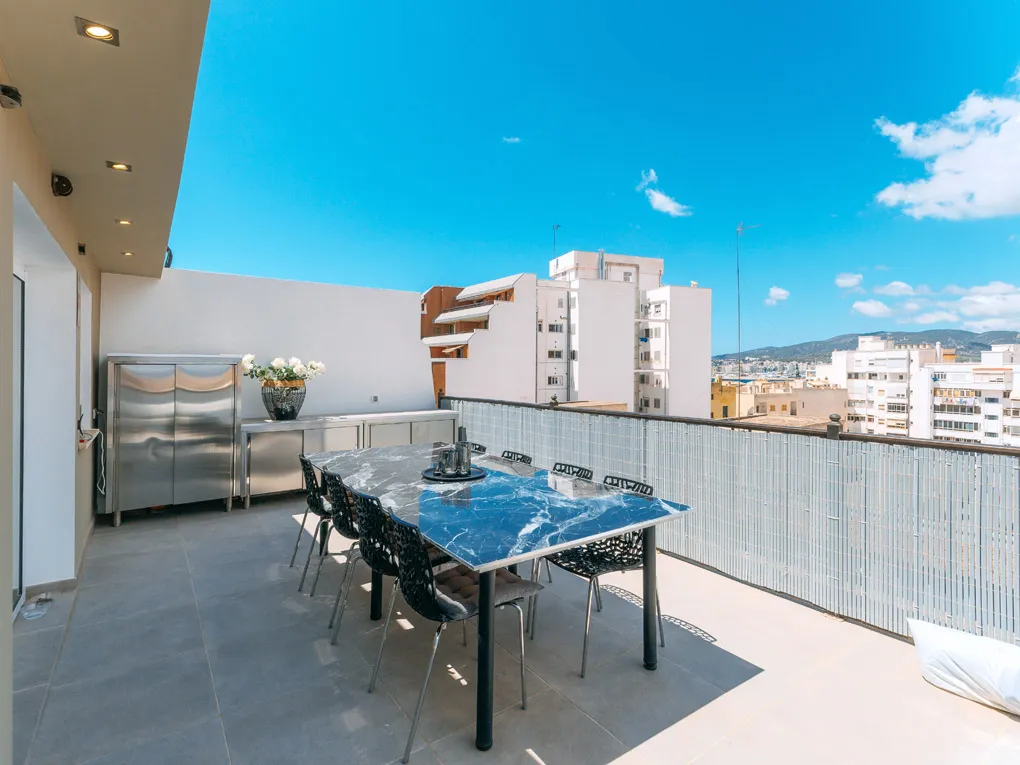 Uitzonderlijk penthouse met indrukwekkend terras-7