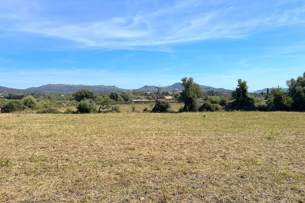 Finca plot with building licence-1