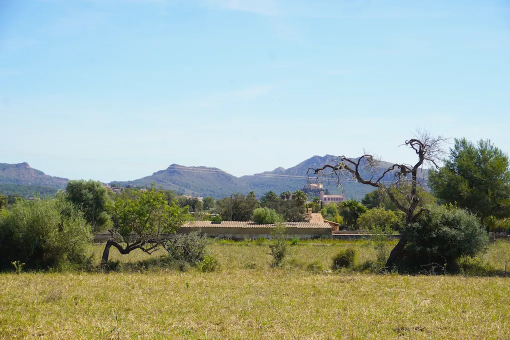 Finca plot with building licence-2
