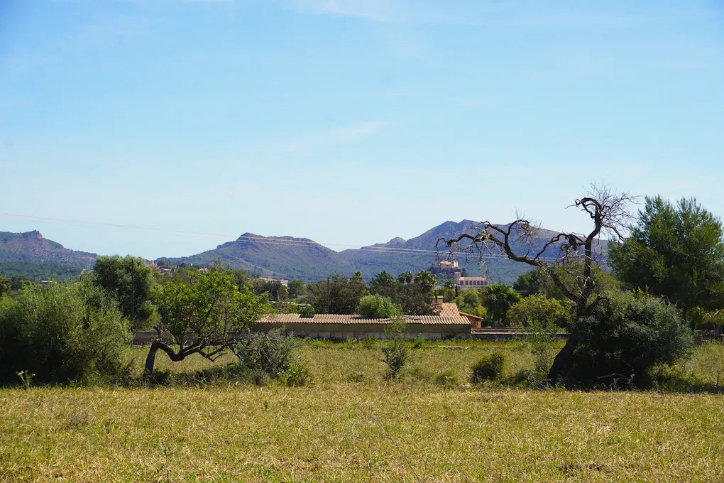 Finca plot with building licence-2