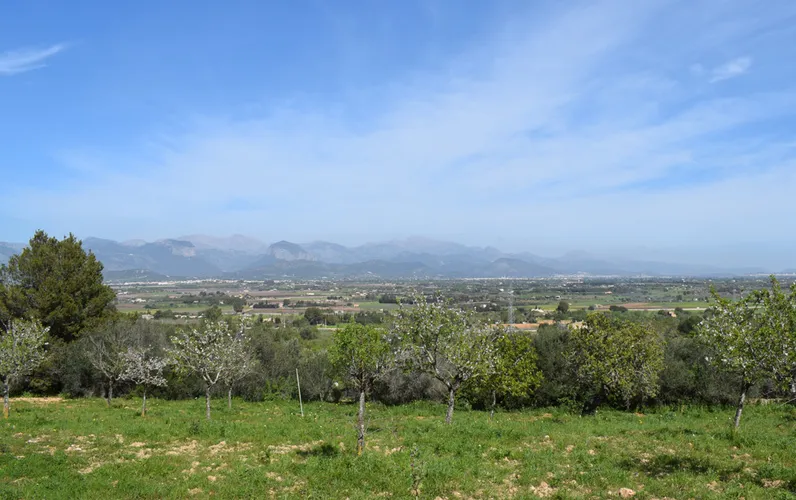 Bouwperceel met mooi uitzicht in Santa Eugenia
