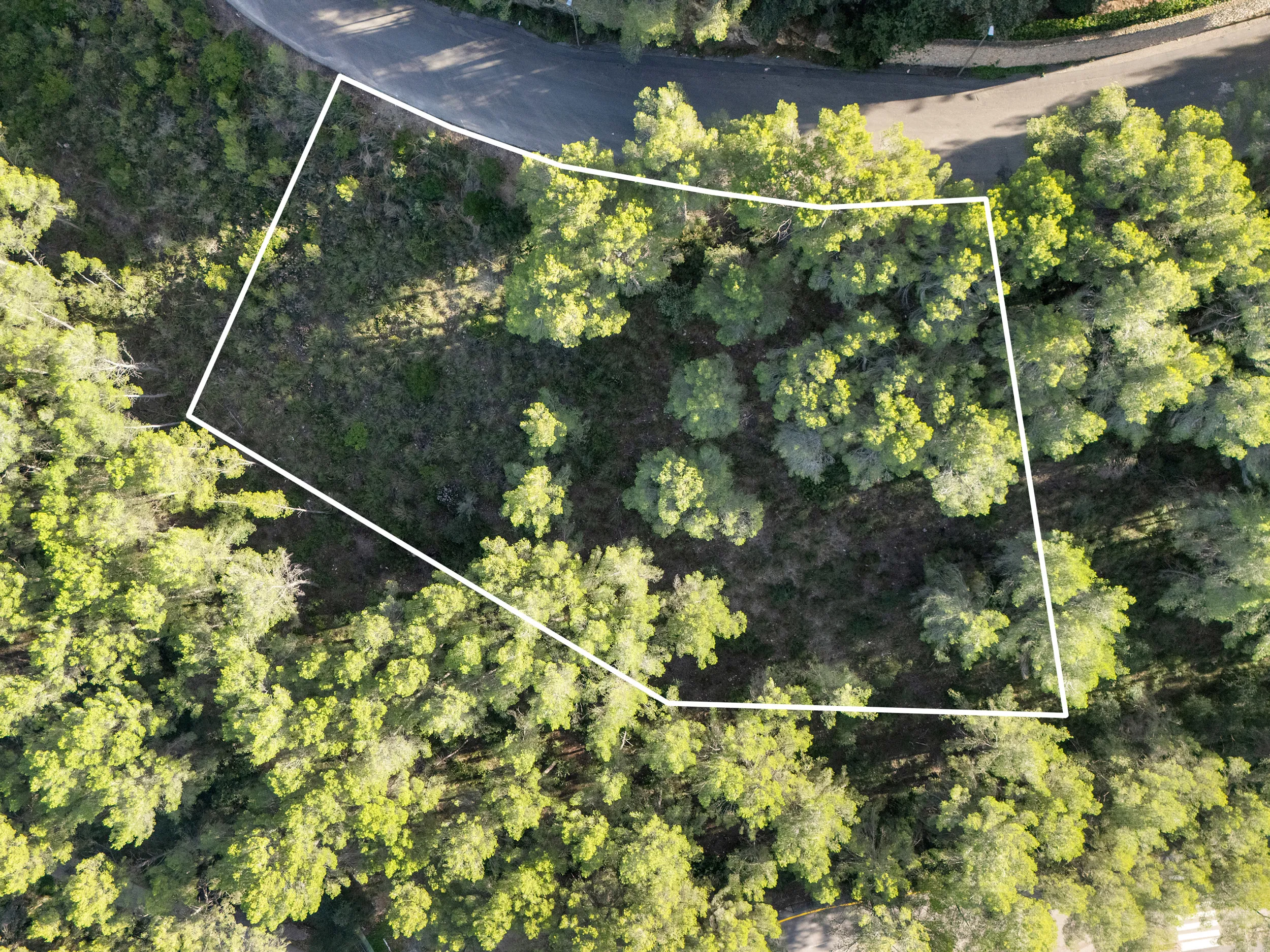 Parcela edificable con proyecto en la parte baja de Son Vida-4