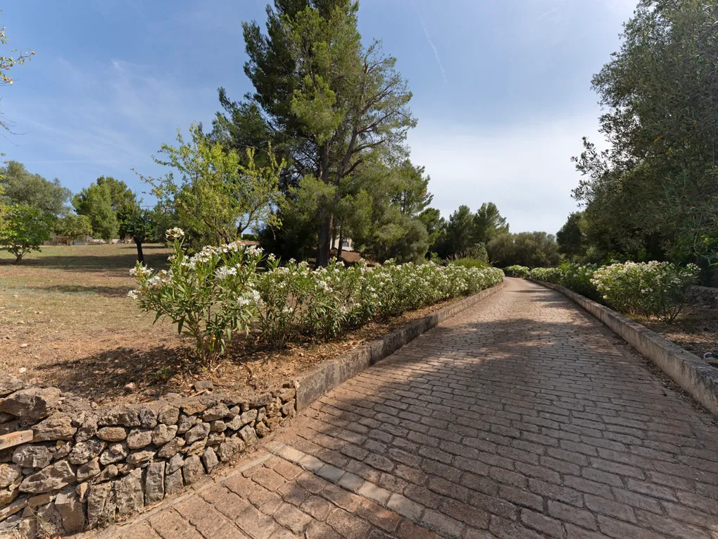 Charmant landhuis met eigen waterput in Establiments-13