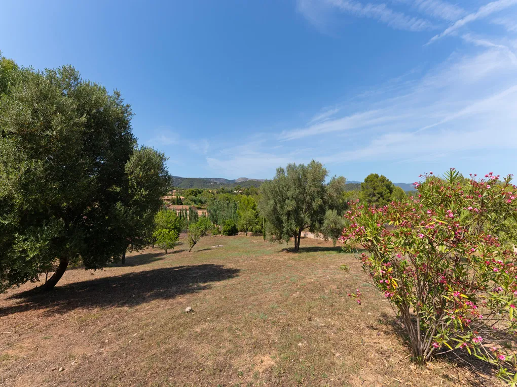 Charmant landhuis met eigen waterput in Establiments-14