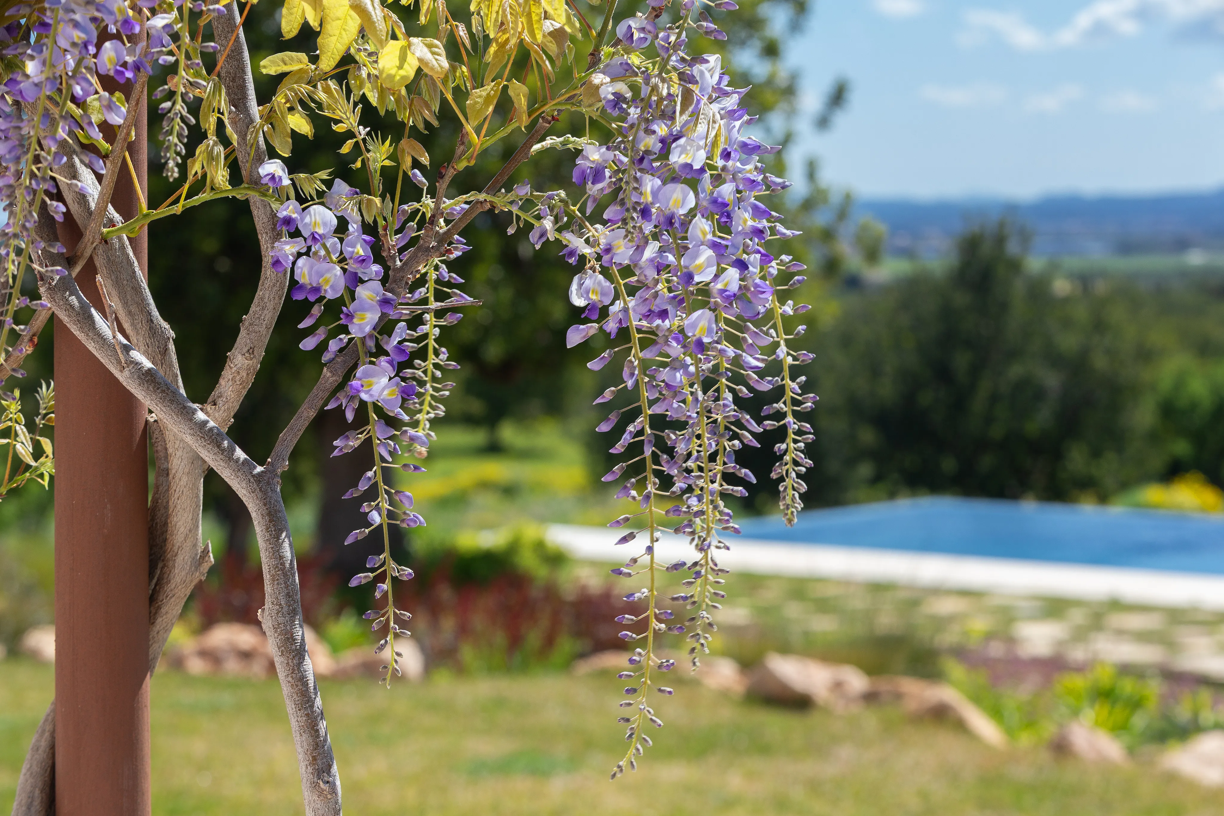 Exklusiv elegans omgiven av vingårdar och natur i Santa Maria-18