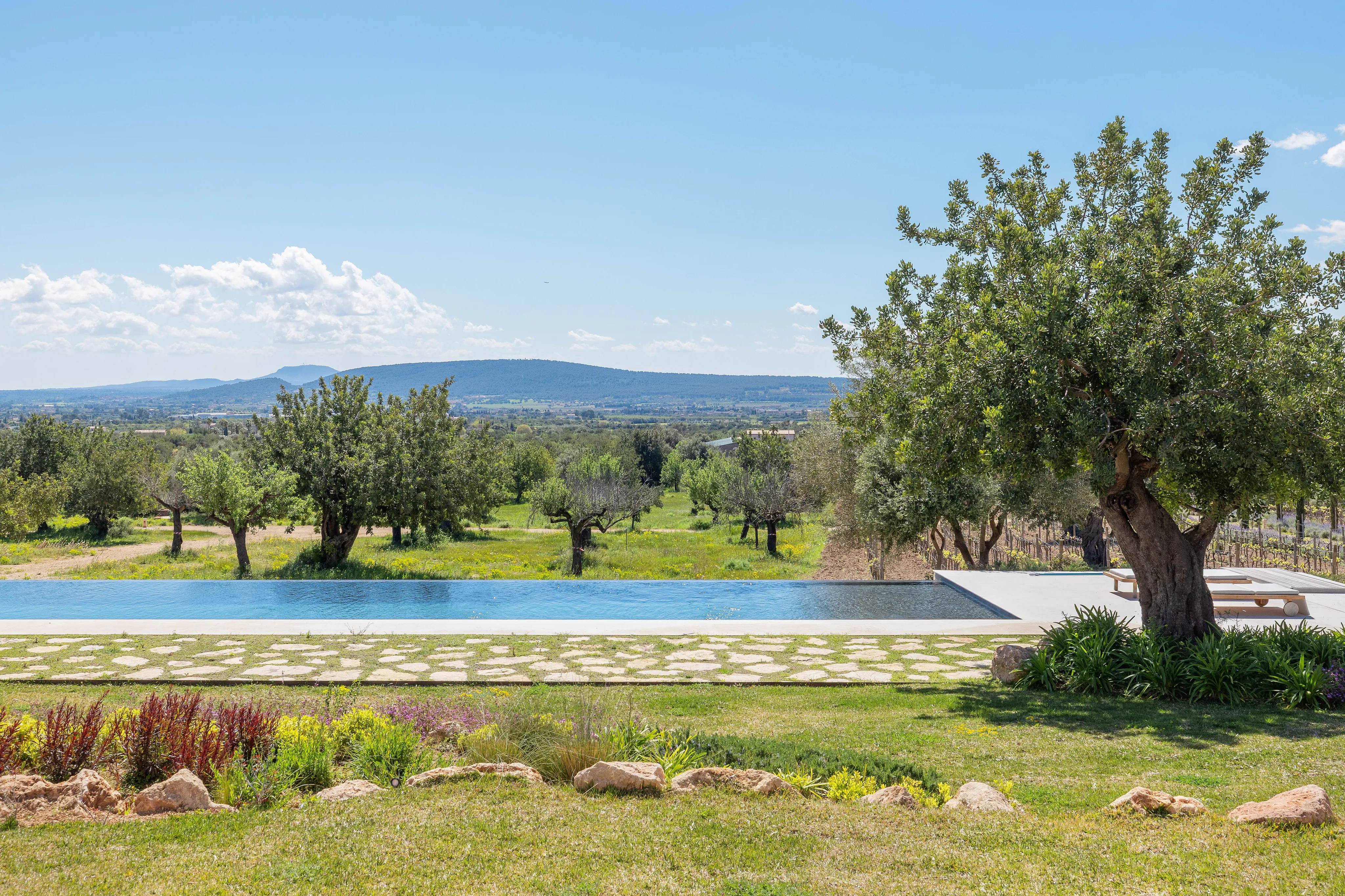 Exklusiv elegans omgiven av vingårdar och natur i Santa Maria-17