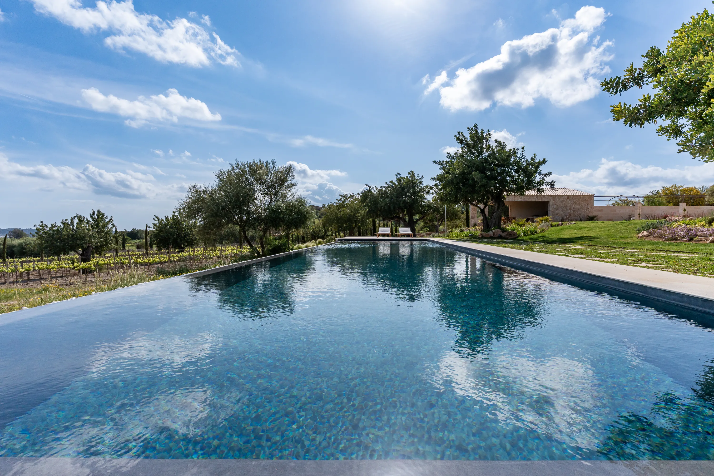 Elegància exclusiva envoltada de vinyes i naturalesa a Santa María-16