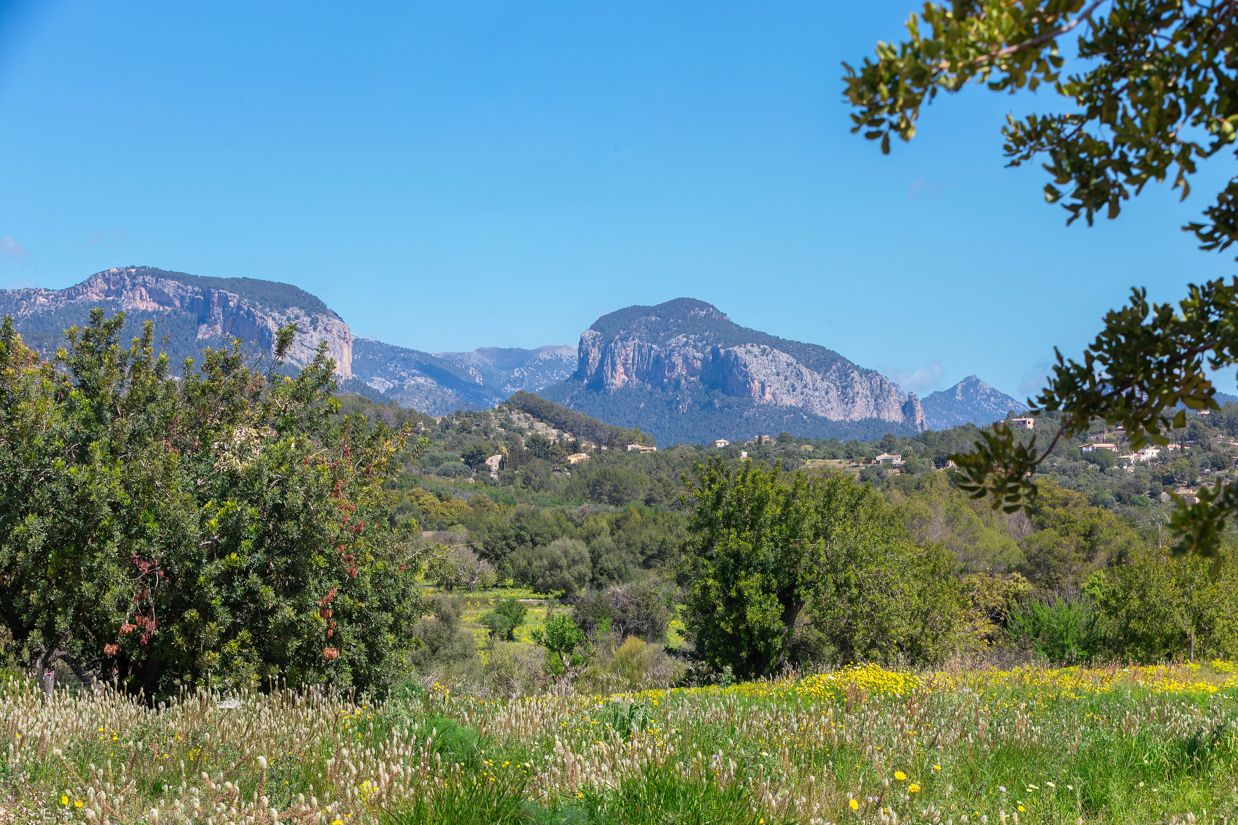 Exklusiv elegans omgiven av vingårdar och natur i Santa Maria-23