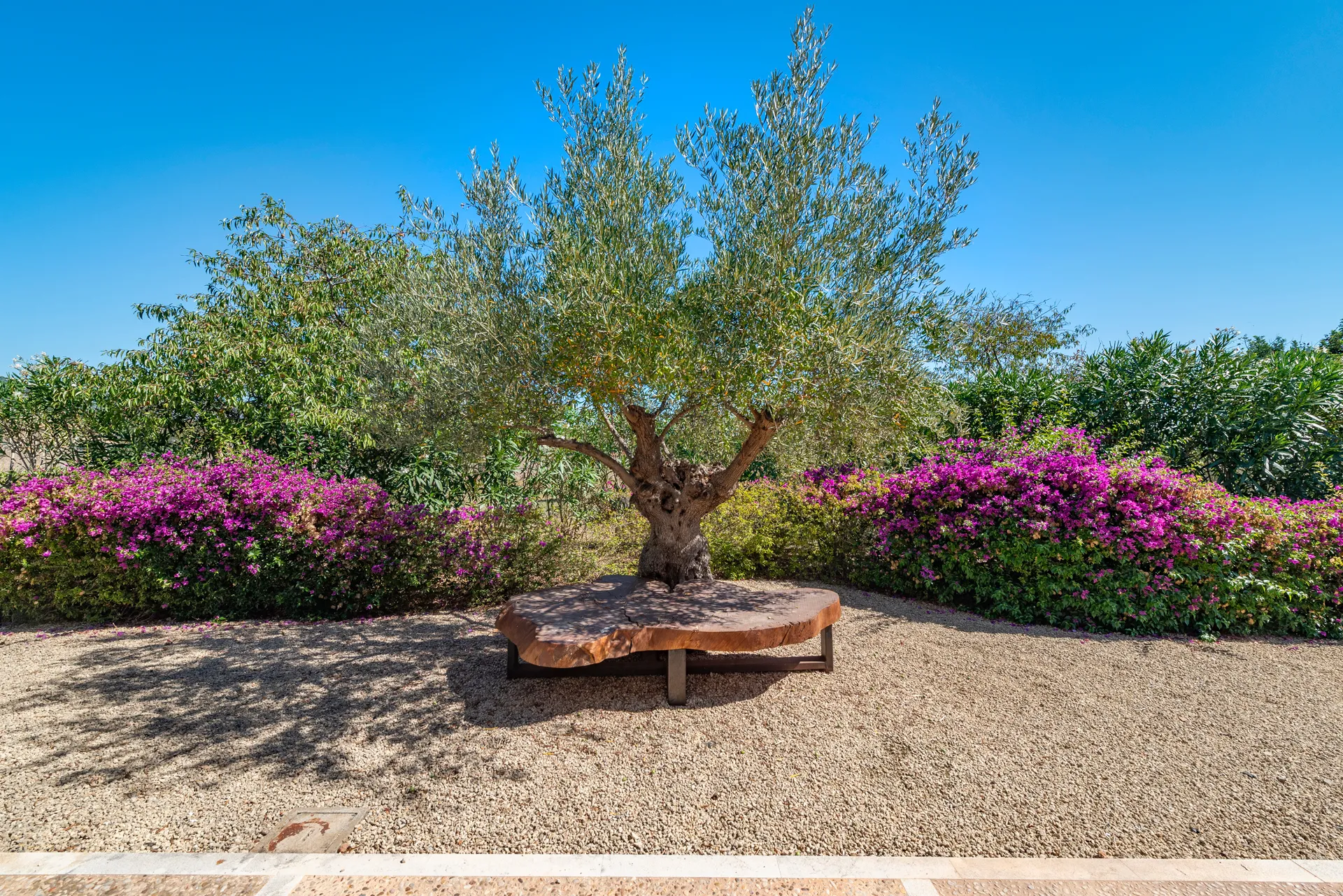 Exclusieve finca in mediterraan design met zwembad en eeuwenoude olijfbomen-14