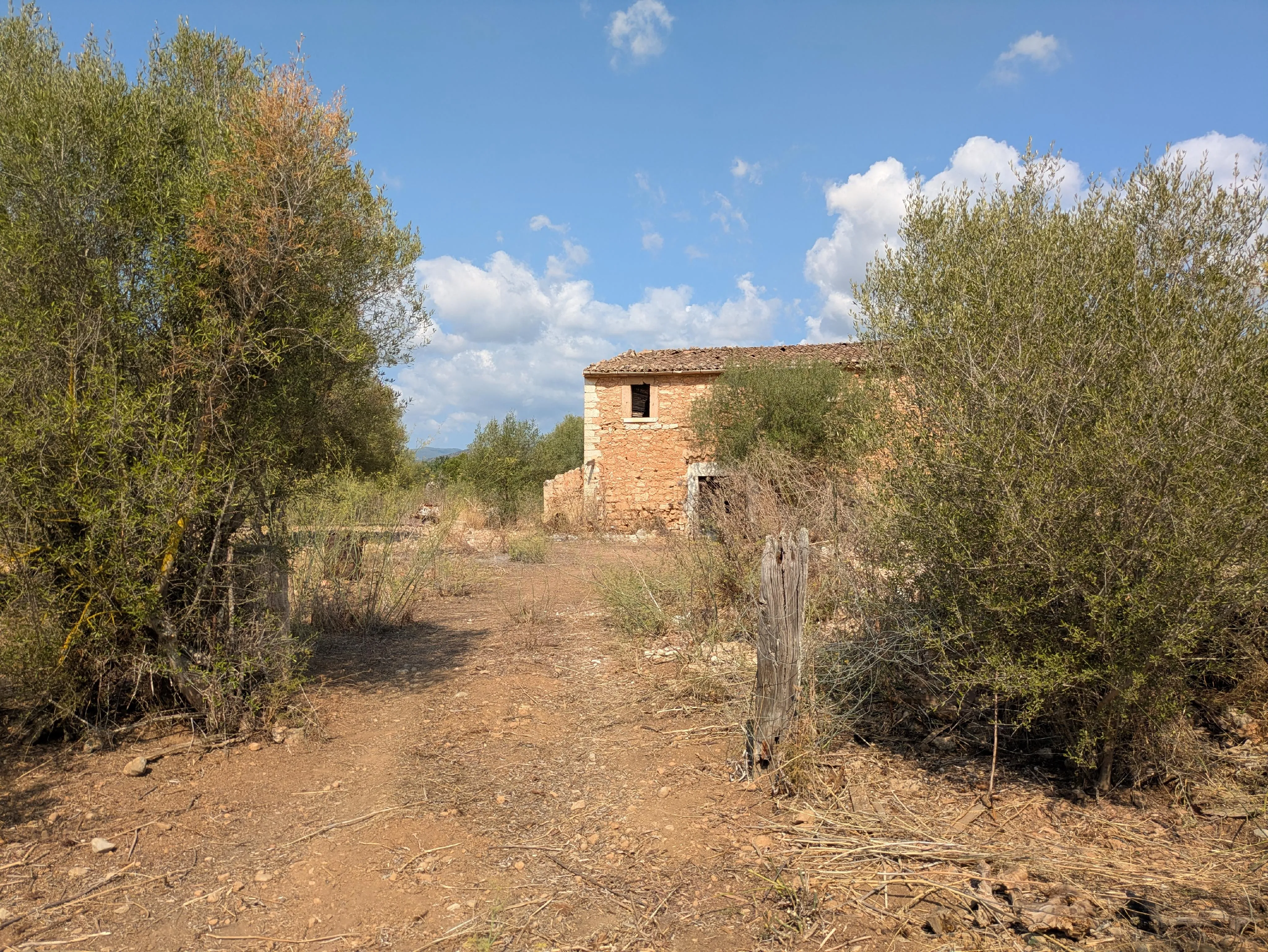 Stor grund med ruin i Binissalem-5