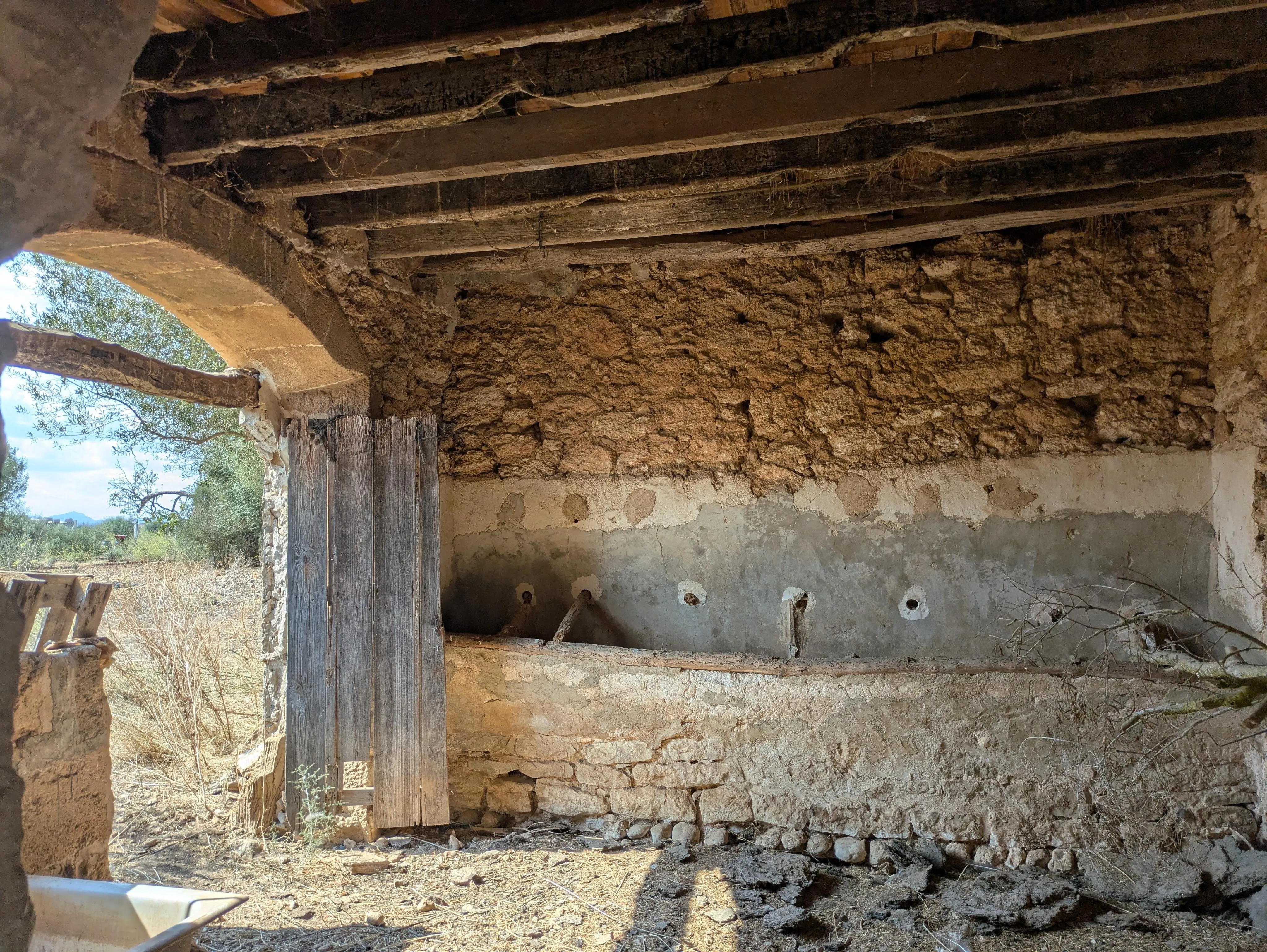 Stor grund med ruin i Binissalem-3