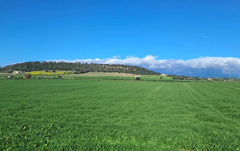 Urocza działka z pozwoleniem na budowę między Llubí i Maria de la Salut